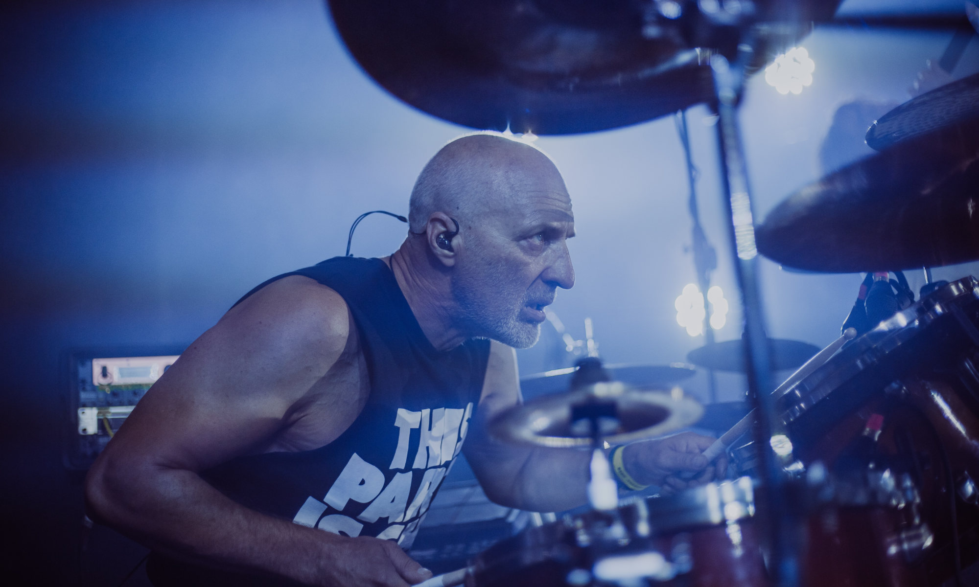 musician image by andrew-petrischev musician